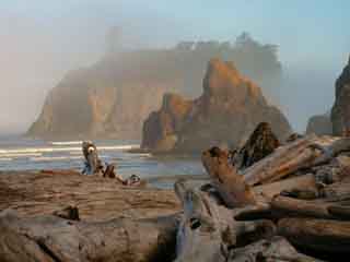  ワシントン州:  アメリカ合衆国:  
 
 Olympic National Park